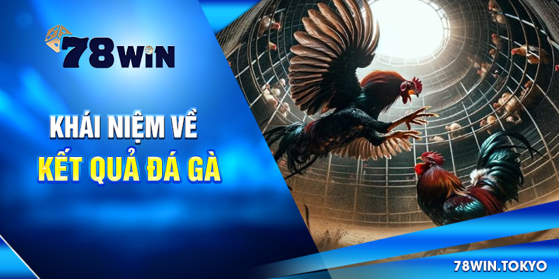 Khái niệm về kết quả đá gà